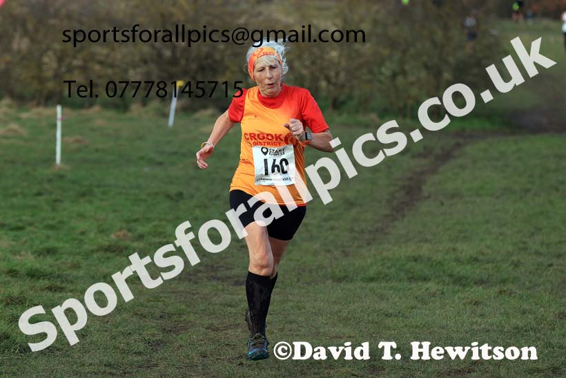 Womens 35 and Over and Mens 65 and Over, 2024 NEMAA Cross Country Champs., Wallsend. Photo: David T. Hewitson/Sports for All Pics